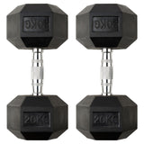 Hex Rubber Dumbbells